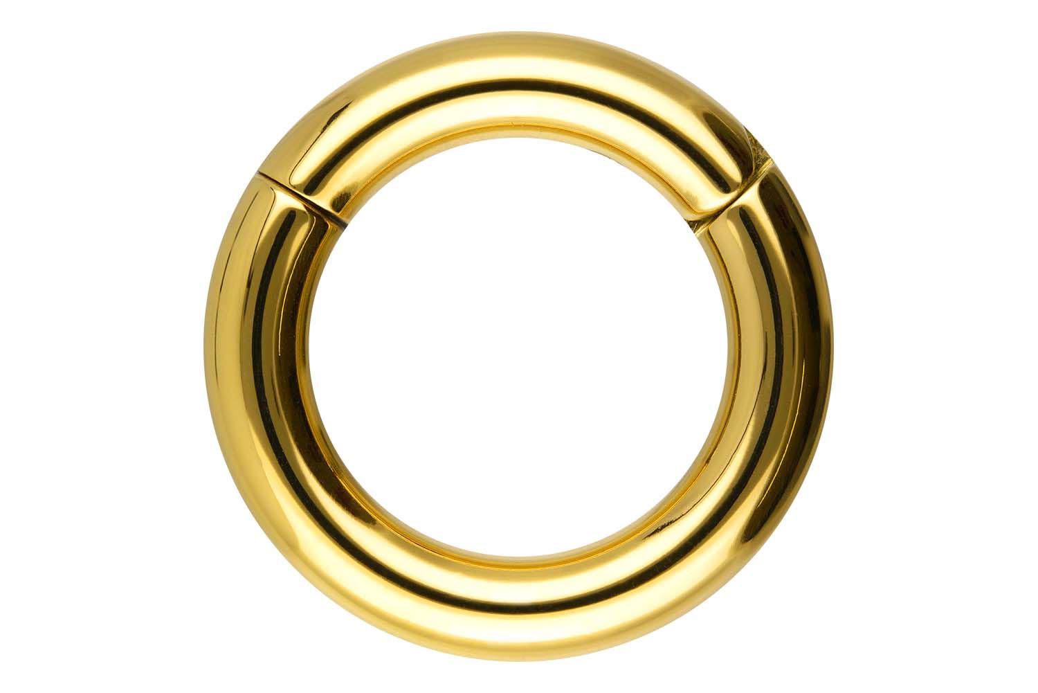 Chirurgenstahl Segmentring Clicker Piercing